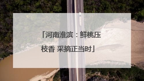 河南淮滨：鲜桃压枝香 采摘正当时