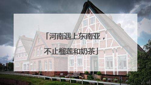 河南遇上东南亚，不止榴莲和奶茶