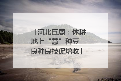 河北巨鹿：休耕地上“慧”种豆 良种良技促增收