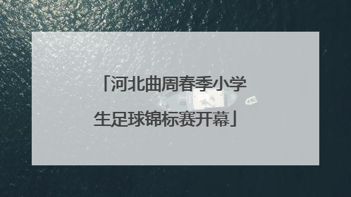 河北曲周春季小学生足球锦标赛开幕