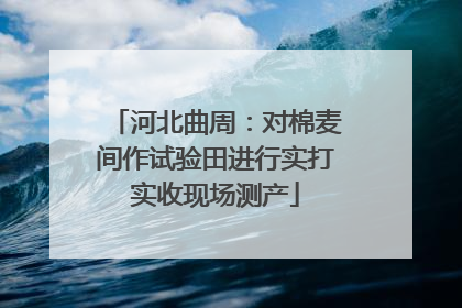 河北曲周：对棉麦间作试验田进行实打实收现场测产