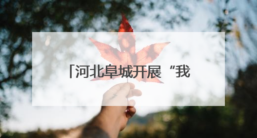 河北阜城开展“我们的节日·端午”主题文化系列活动