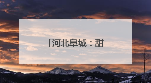 河北阜城：甜瓜飘香正当时
