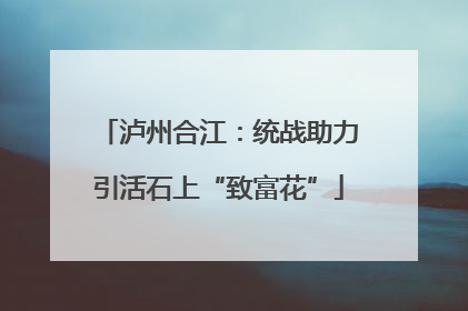 泸州合江：统战助力引活石上“致富花”