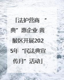 法护营商 “典”惠企业 黄陂区开展2025年“民法典宣传月”活动