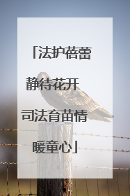 法护蓓蕾静待花开 司法育苗情暖童心