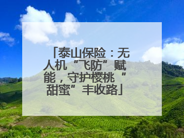 泰山保险：无人机“飞防”赋能，守护樱桃“甜蜜”丰收路