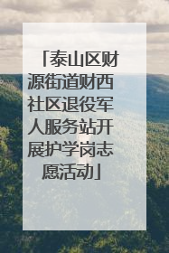 泰山区财源街道财西社区退役军人服务站开展护学岗志愿活动