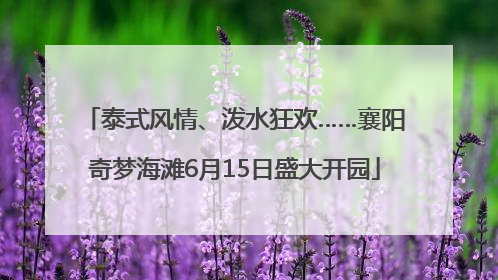 泰式风情、泼水狂欢……襄阳奇梦海滩6月15日盛大开园