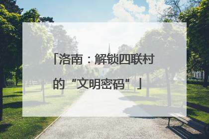 洛南：解锁四联村的“文明密码”