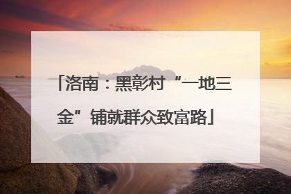 洛南：黑彰村“一地三金”铺就群众致富路