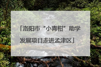 洛阳市“小青柑”助学发展项目走进孟津区