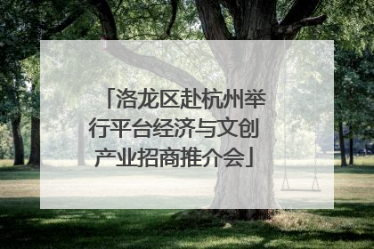 洛龙区赴杭州举行平台经济与文创产业招商推介会