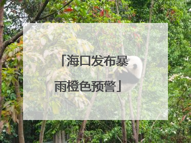 海口发布暴雨橙色预警