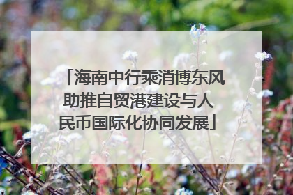 海南中行乘消博东风 助推自贸港建设与人民币国际化协同发展