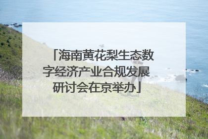 海南黄花梨生态数字经济产业合规发展研讨会在京举办