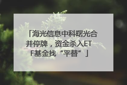 海光信息中科曙光合并停牌，资金杀入ETF基金找“平替”