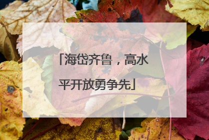 海岱齐鲁，高水平开放勇争先