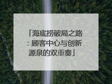 海底捞破局之路：顾客中心与创新源泉的双重奏