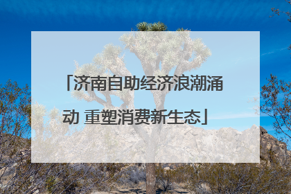 济南自助经济浪潮涌动 重塑消费新生态