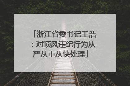 浙江省委书记王浩：对顶风违纪行为从严从重从快处理