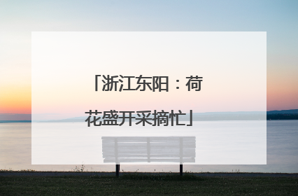 浙江东阳：荷花盛开采摘忙