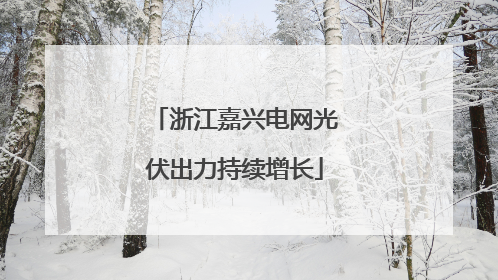 浙江嘉兴电网光伏出力持续增长