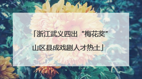 浙江武义四出“梅花奖” 山区县成戏剧人才热土