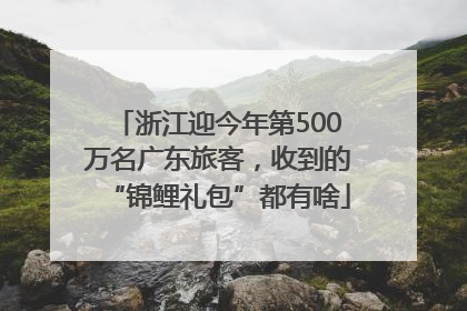浙江迎今年第500万名广东旅客，收到的“锦鲤礼包”都有啥