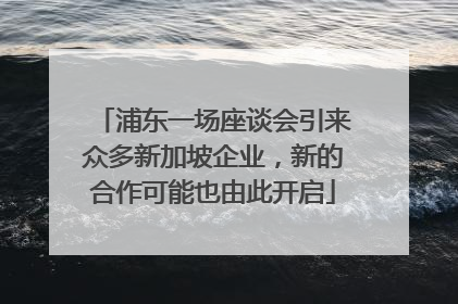 浦东一场座谈会引来众多新加坡企业，新的合作可能也由此开启