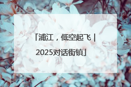 浦江，低空起飞｜2025对话街镇