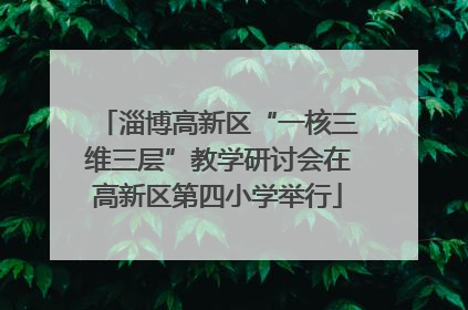 淄博高新区“一核三维三层”教学研讨会在高新区第四小学举行