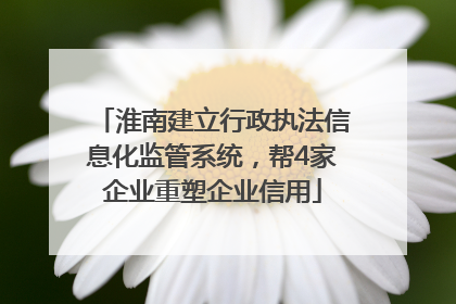 淮南建立行政执法信息化监管系统，帮4家企业重塑企业信用