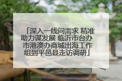 深入一线问需求 精准助力谋发展 临沂市台办 市港澳办商城出海工作组到平邑县走访调研