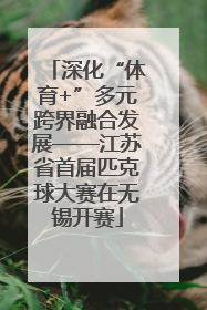 深化“体育+”多元跨界融合发展——江苏省首届匹克球大赛在无锡开赛