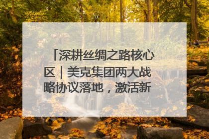 深耕丝绸之路核心区｜美克集团两大战略协议落地，激活新疆开放新动能