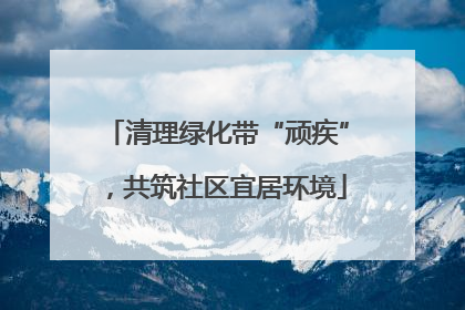 清理绿化带“顽疾”，共筑社区宜居环境