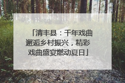 清丰县：千年戏曲邂逅乡村振兴，精彩戏曲盛宴燃动夏日