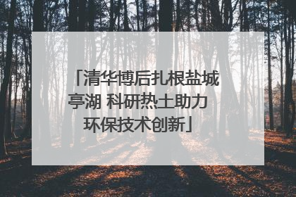 清华博后扎根盐城亭湖 科研热土助力环保技术创新