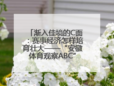 渐入佳境的C面：赛事经济怎样培育壮大——“安徽体育观察ABC”系列报道之三