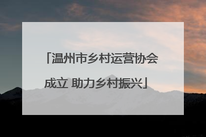 温州市乡村运营协会成立 助力乡村振兴