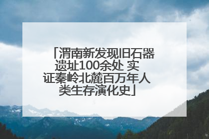 渭南新发现旧石器遗址100余处 实证秦岭北麓百万年人类生存演化史