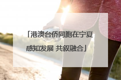 港澳台侨同胞在宁夏感知发展 共叙融合