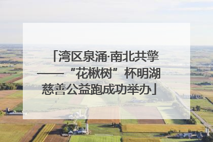 湾区泉涌·南北共擎——“花楸树”杯明湖慈善公益跑成功举办