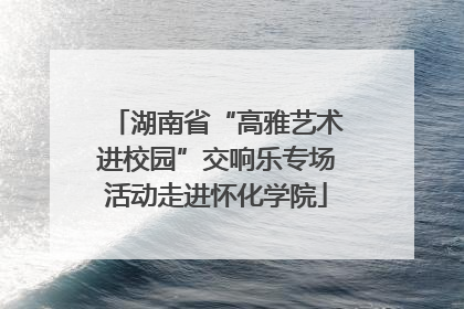 湖南省“高雅艺术进校园”交响乐专场活动走进怀化学院