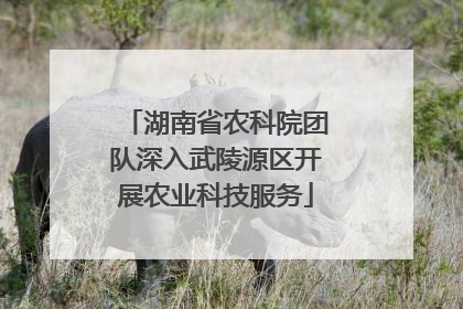 湖南省农科院团队深入武陵源区开展农业科技服务