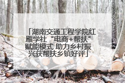 湖南交通工程学院红雁学社“电商+帮扶”赋能模式 助力乡村振兴获帮扶乡镇好评