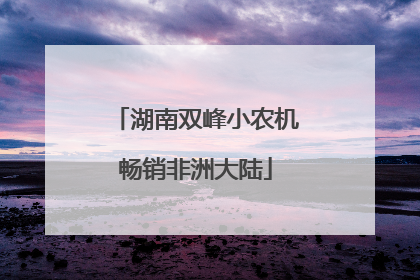湖南双峰小农机畅销非洲大陆