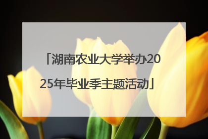 湖南农业大学举办2025年毕业季主题活动