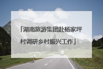 湖南旅游集团赴杨家坪村调研乡村振兴工作